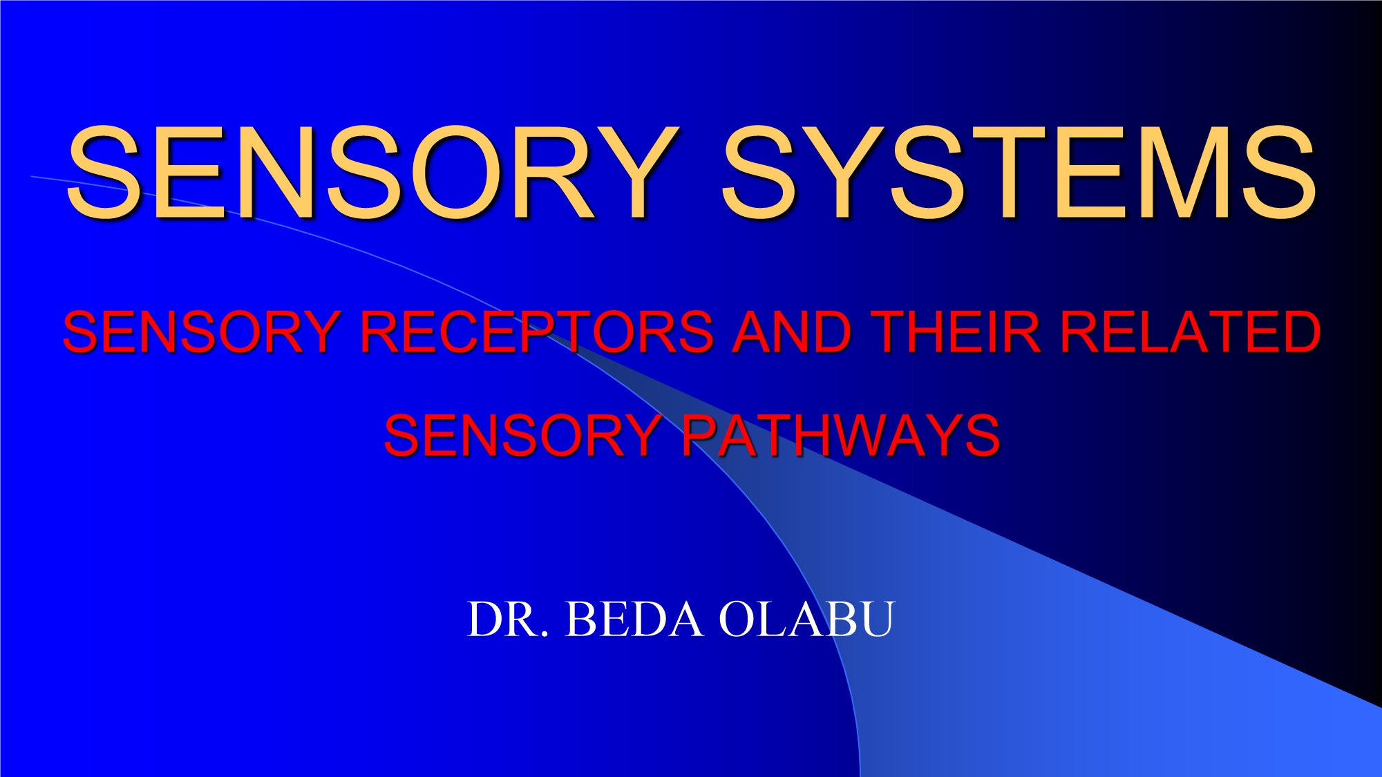 No preview available